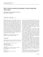 Role of tumor-associated macrophages in tumor progression and invasion