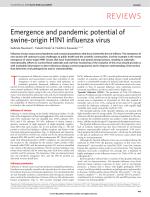 Emergence and pandemic potential of swine-origin H1N1 influenza virus