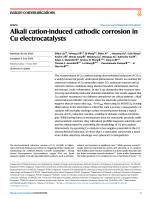 Alkali cation-induced cathodic corrosion in Cu electrocatalysts