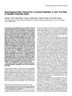 Neurodegeneration Induced by β-Amyloid Peptides in vitro: The Role of Peptide Assembly State
