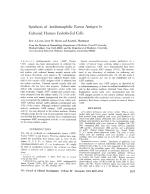 Synthesis of Antihemophilic Factor Antigen by Cultured Human Endothelial Cells