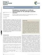 Molybdenum phosphide as an efficient electrocatalyst for the hydrogen evolution reaction