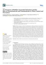 An Overview of Biofilm-Associated Infections and the Role of Phytochemicals and Nanomaterials in Their Control and Prevention
