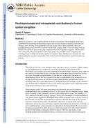 Parahippocampal and retrosplenial contributions to human spatial navigation