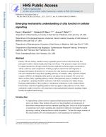 Emerging mechanistic understanding of cilia function in cellular signalling