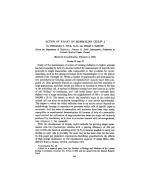 ACTION OF X-RAYS ON MAMMALIAN CELLS