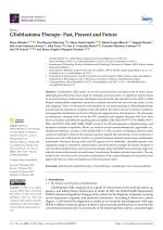 Glioblastoma Therapy: Past, Present and Future