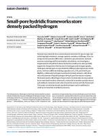 Small-pore hydridic frameworks store densely packed hydrogen