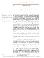 Epigenetics in Cancer