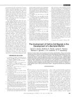 The Involvement of Cell-to-Cell Signals in the Development of a Bacterial Biofilm