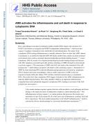AIM2 activates the inflammasome and cell death in response to cytoplasmic DNA