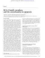 BCL-2 family members and the mitochondria in apoptosis