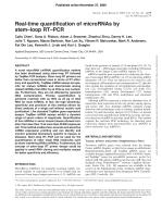 Real-time quantification of microRNAs by stem–loop RT–PCR