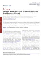 Metabolic cell death in cancer: ferroptosis, cuproptosis, disulfidptosis, and beyond