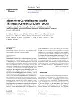 Mannheim Carotid Intima-Media Thickness Consensus (2004–2006)