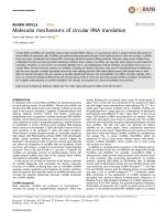 Molecular mechanisms of circular RNA translation