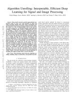 Algorithm Unrolling: Interpretable, Efficient Deep Learning for Signal and Image Processing