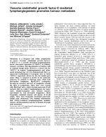 Vascular endothelial growth factor-C-mediated lymphangiogenesis promotes tumour metastasis