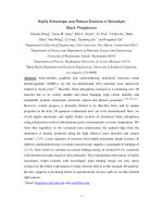 Highly Anisotropic and Robust Excitons in Monolayer Black Phosphorus