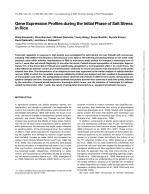 Gene Expression Profiles during the Initial Phase of Salt Stress in Rice