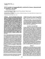 BCL2 protein is topographically restricted in tissues characterized by apoptotic cell death