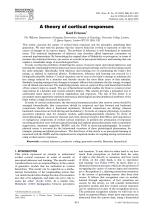 A theory of cortical responses