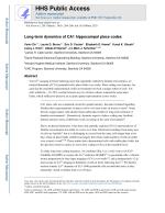 Long-term dynamics of CA1 hippocampal place codes