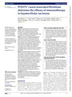 POSTN+ cancer-associated fibroblasts determine the efficacy of immunotherapy in hepatocellular carcinoma