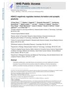 HDAC2 negatively regulates memory formation and synaptic plasticity