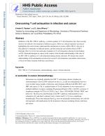 Overcoming T cell exhaustion in infection and cancer
