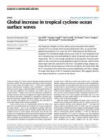 Global increase in tropical cyclone ocean surface waves