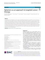 Aptamers as an approach to targeted cancer therapy