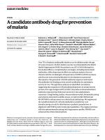A candidate antibody drug for prevention of malaria