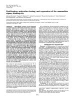 Purification, molecular cloning, and expression of the mammalian sigma1-binding site