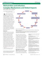 Malnutrition and Infection: Complex Mechanisms and Global Impacts