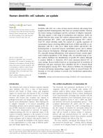 Human dendritic cell subsets: an update
