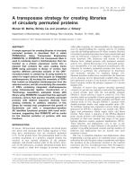 A transposase strategy for creating libraries of circularly permuted proteins