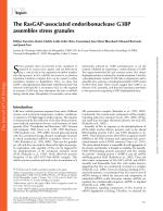The RasGAP-associated endoribonuclease G3BP assembles stress granules