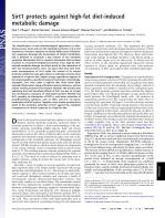Sirt1 protects against high-fat diet-induced metabolic damage