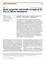 Elastic properties and tensile strength of 2D Ti3C2Tx MXene monolayers