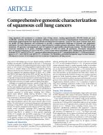 Comprehensive genomic characterization of squamous cell lung cancers