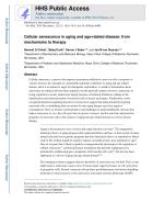 Cellular senescence in aging and age-related disease: from mechanisms to therapy