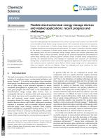 Flexible electrochemical energy storage devices and related applications: recent progress and challenges