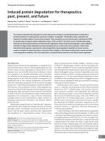 Induced protein degradation for therapeutics: past, present, and future