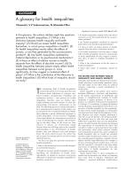 A glossary for health inequalities