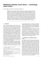 Multiphase induction motor drives – a technology status review