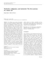Mechanics, malignancy, and metastasis: The force journey of a tumor cell