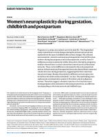 Women’s neuroplasticity during gestation, childbirth and postpartum