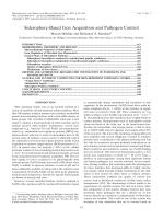 Siderophore-Based Iron Acquisition and Pathogen Control