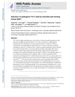 Induction of pathogenic Th17 cells by inducible salt sensing kinase SGK1